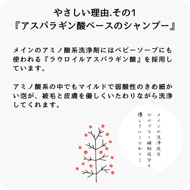 【送料無料】Mu:care(ミューケア)シャンプー