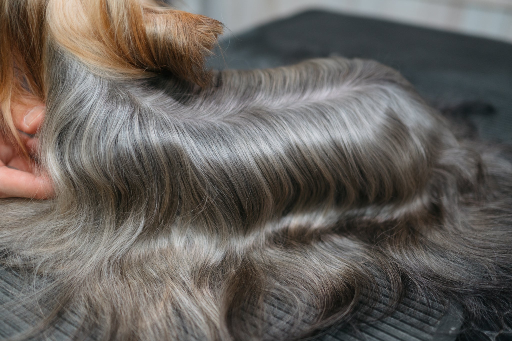 【送料無料】Mu:care(ミューケア)シャンプー