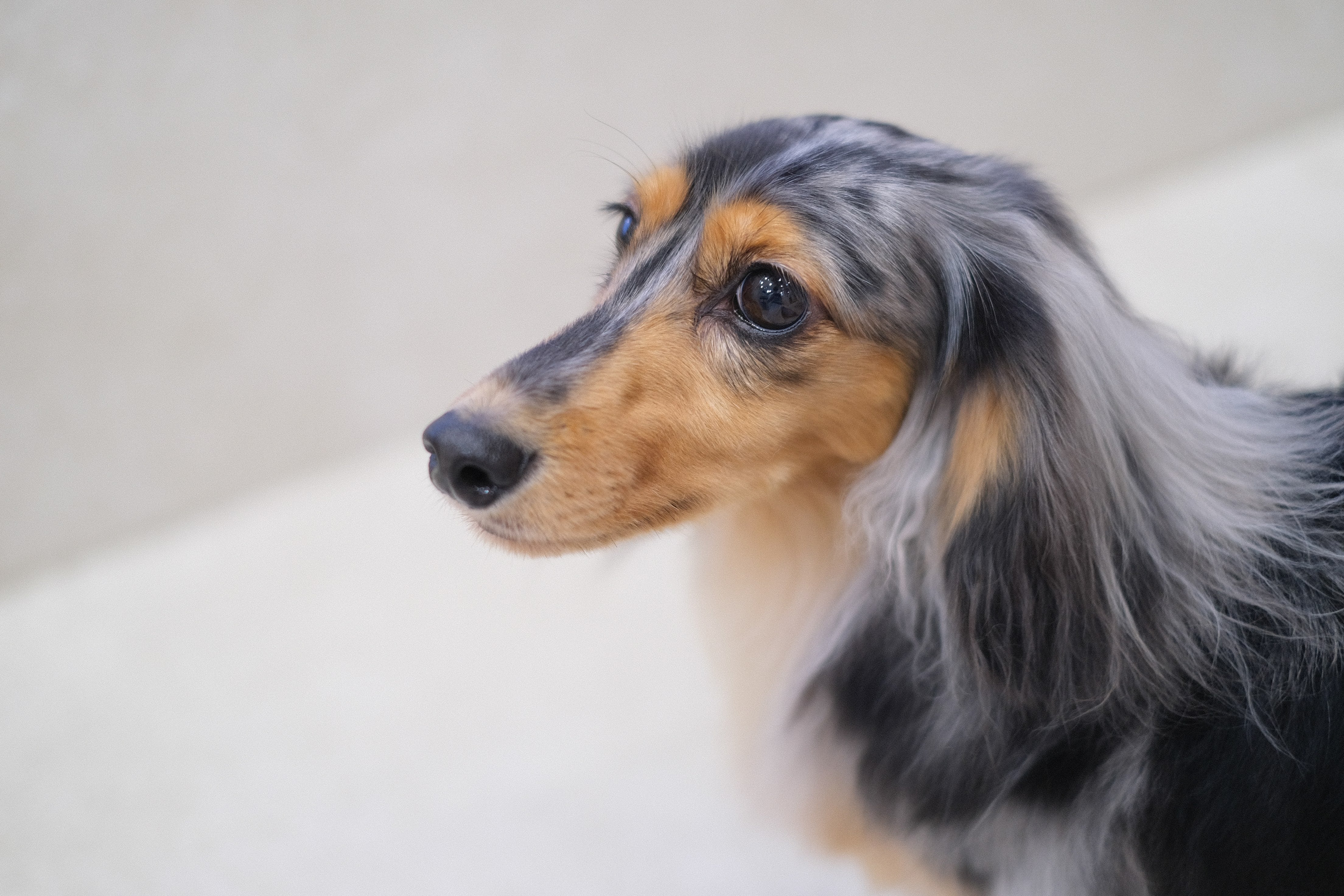 【送料無料】Mu:care(ミューケア)シャンプー