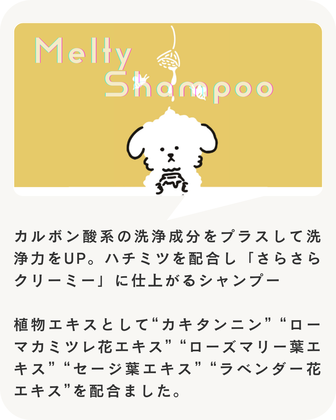 【送料無料】Melty（メルティ）シャンプー