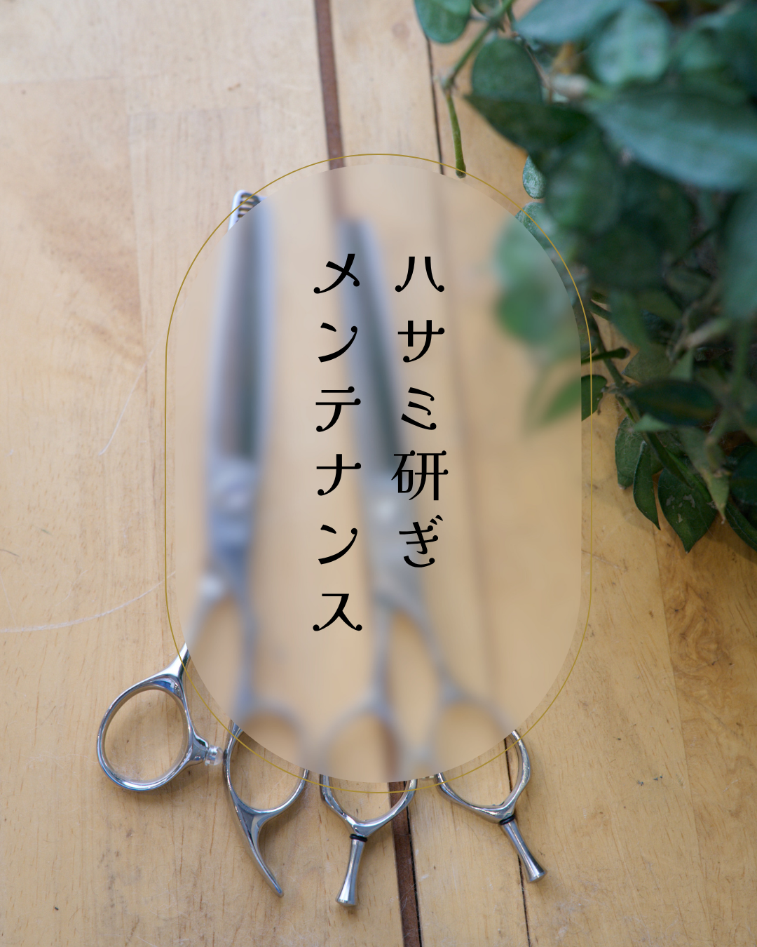 研ぎ・メンテナンス
